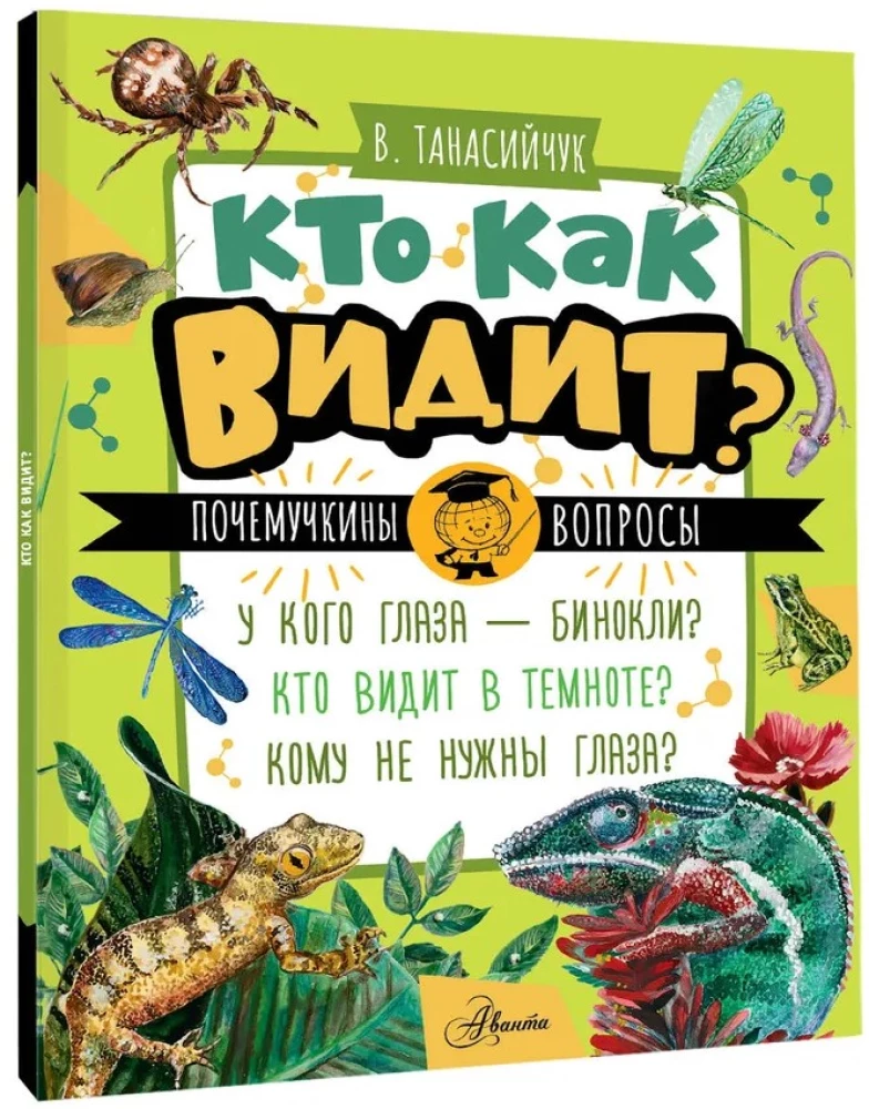 Kto jak widzi?
