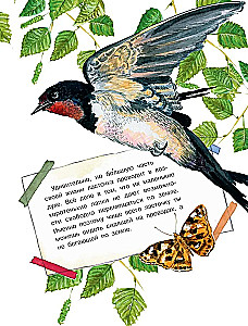 How do different creatures see?