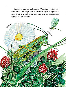 How do different creatures see?