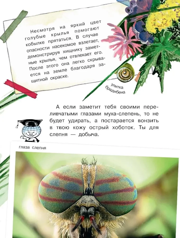 How do different creatures see?