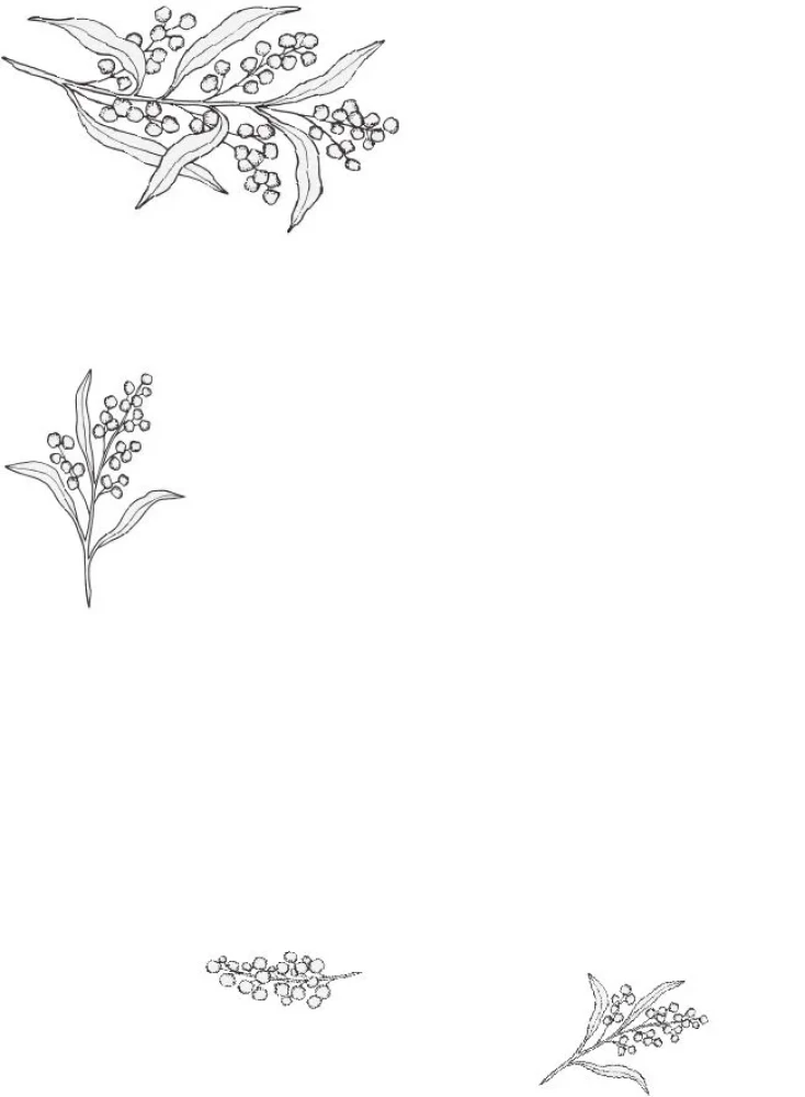 Inspirational Poems