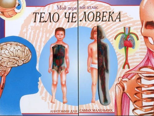 My First Atlas. The Human Body