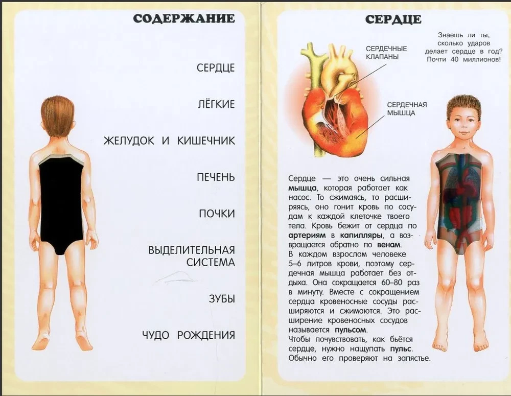 My First Atlas. The Human Body