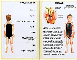 My First Atlas. The Human Body