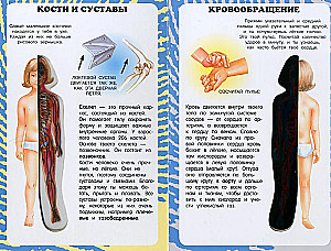 My First Atlas. The Human Body