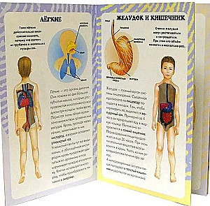 My First Atlas. The Human Body