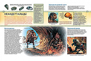 Historia ludzkości