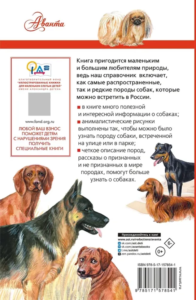 Rasy psów. Wskaźnik