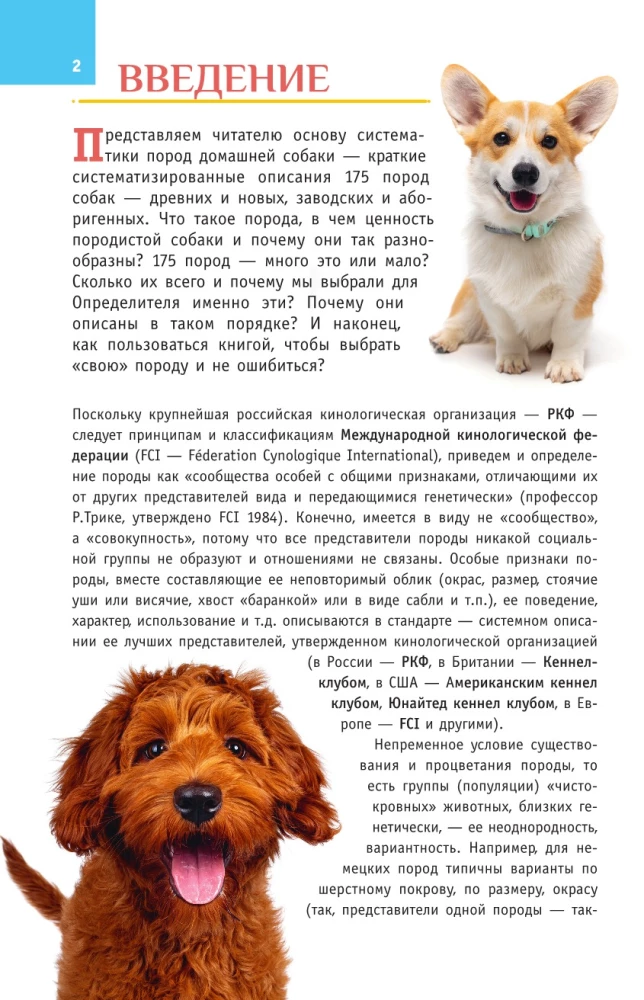 Dog Breeds. A Guide