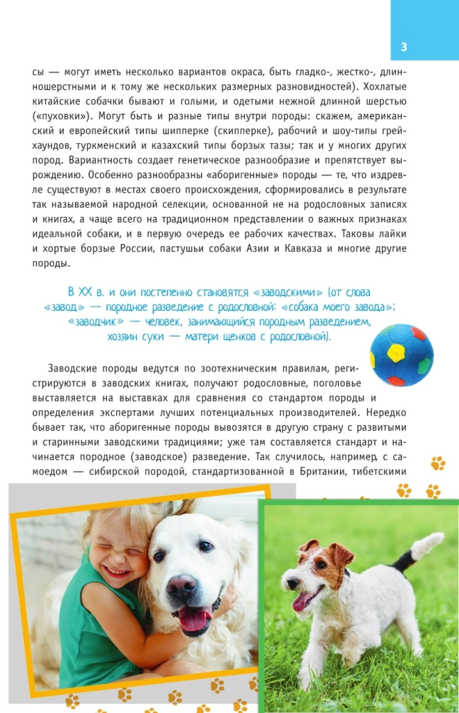 Dog Breeds. A Guide