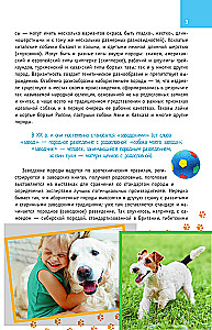 Dog Breeds. A Guide