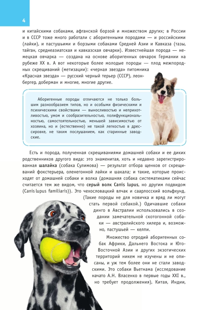 Dog Breeds. A Guide