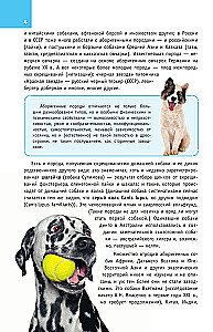 Dog Breeds. A Guide