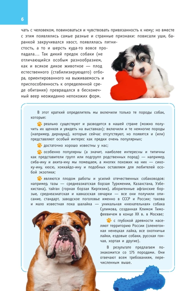 Dog Breeds. A Guide
