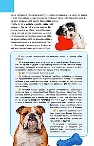 Dog Breeds. A Guide