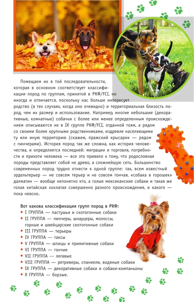 Dog Breeds. A Guide