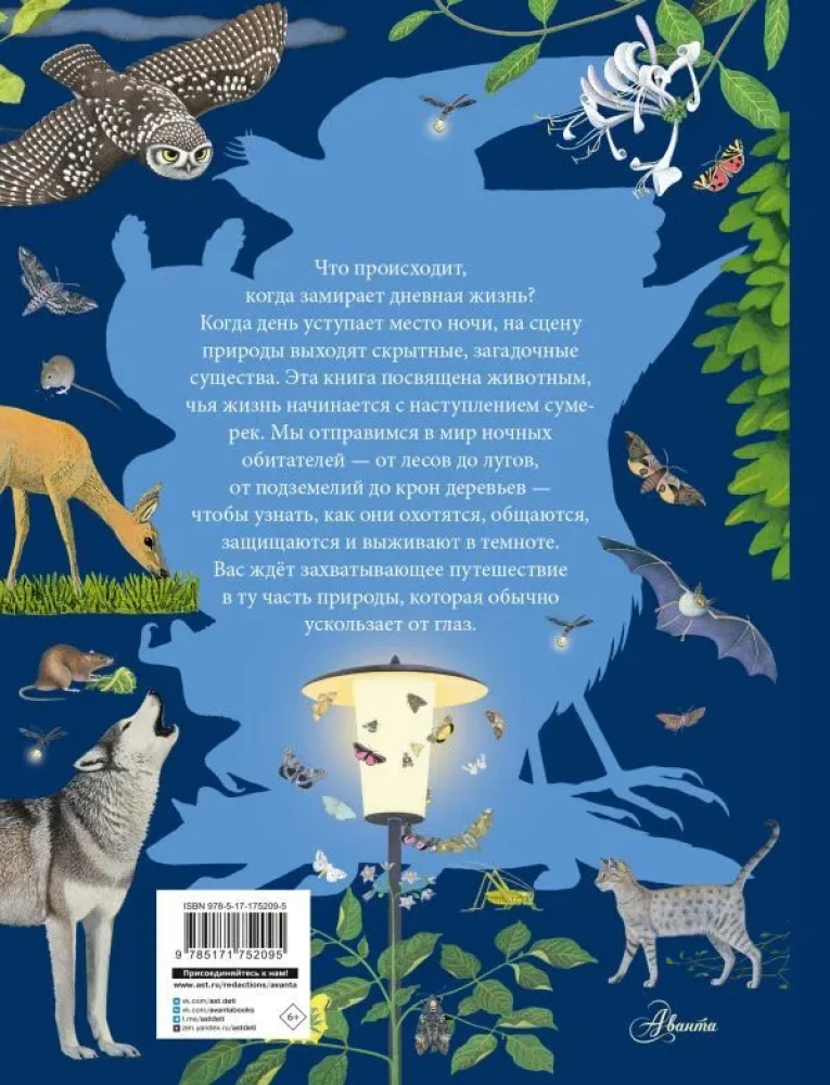 Nocne zwierzęta