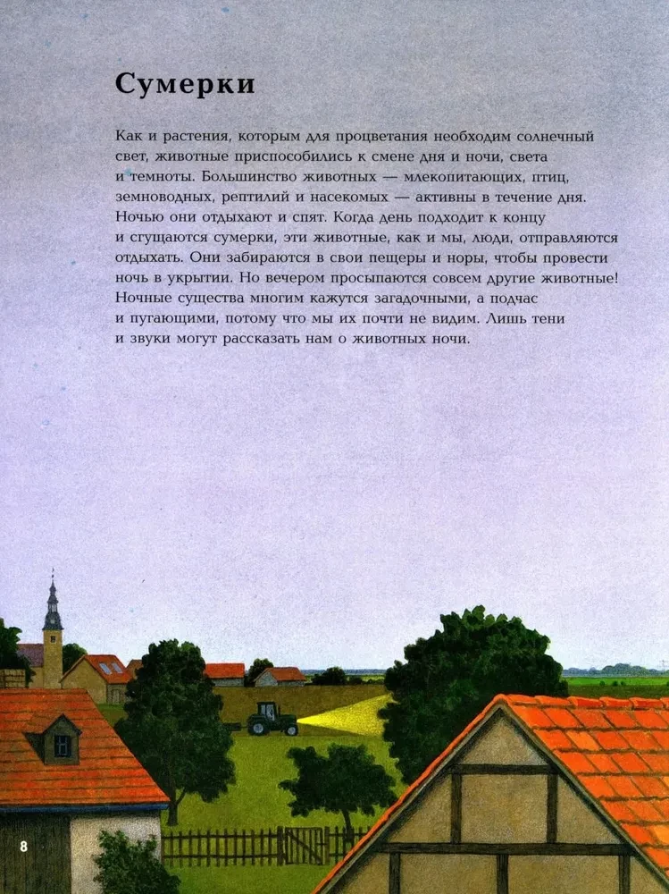Nocne zwierzęta