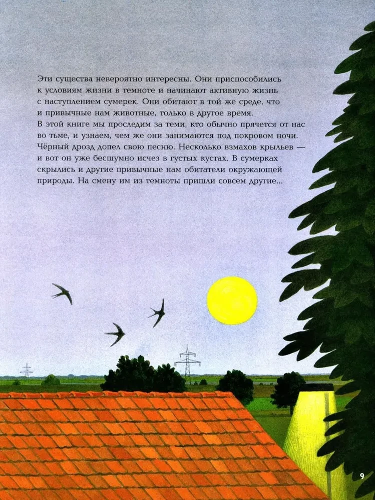 Nocne zwierzęta