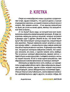 Baśniowa anatomia