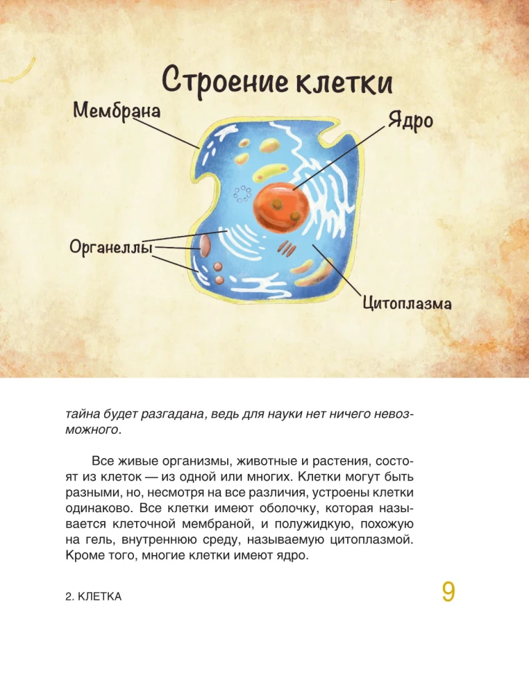 Baśniowa anatomia