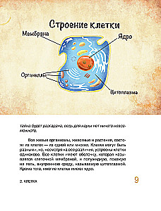 Pasakų anatomija
