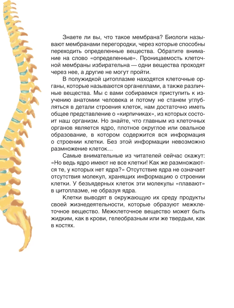 Baśniowa anatomia