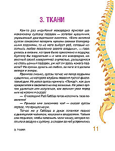 Baśniowa anatomia