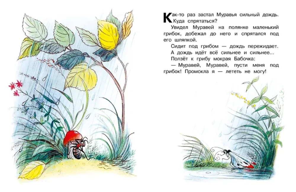Кто сказал мяу? Сказки