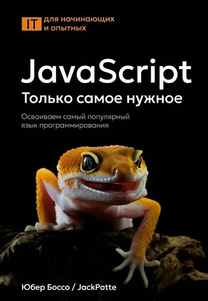 JavaScript. Nur das Nötigste