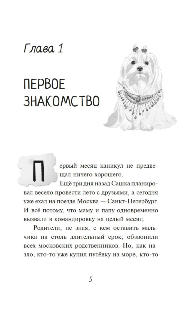 Мистер Кто. Детектив из Петербурга