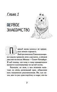 Мистер Кто. Детектив из Петербурга