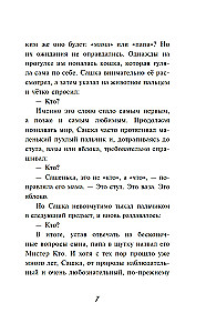 Мистер Кто. Детектив из Петербурга