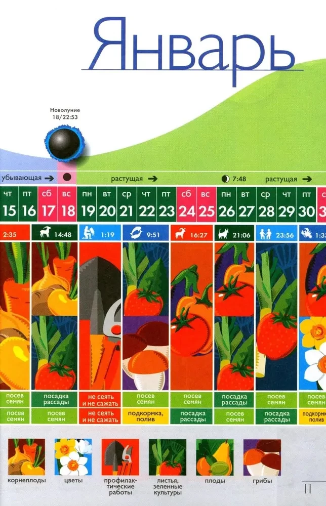 Der Mondpflanzenkalender für 2026 in den verständlichsten und vielfältigsten Farbtabellen