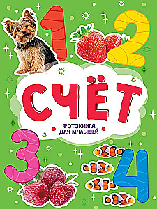 Liczba