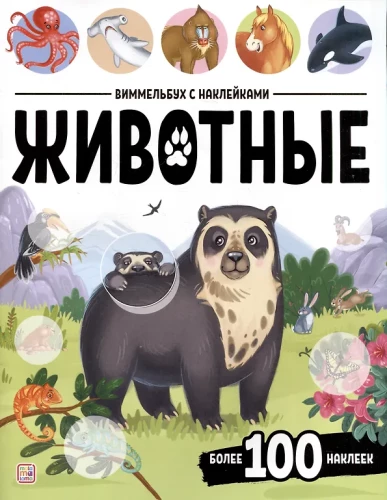 Wimmelbuch z naklejkami. Zwierzęta