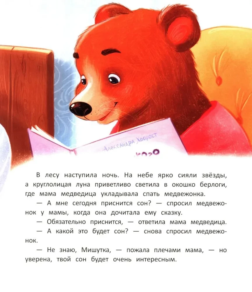 Jak niedźwiadek szukał snu