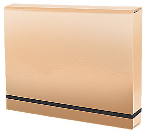 A4 Lux Folder with Rubber Band (Beige)