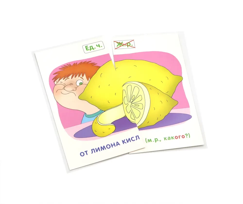 Krievu valoda (6 kartīšu komplekti + metodiskie ieteikumi)
