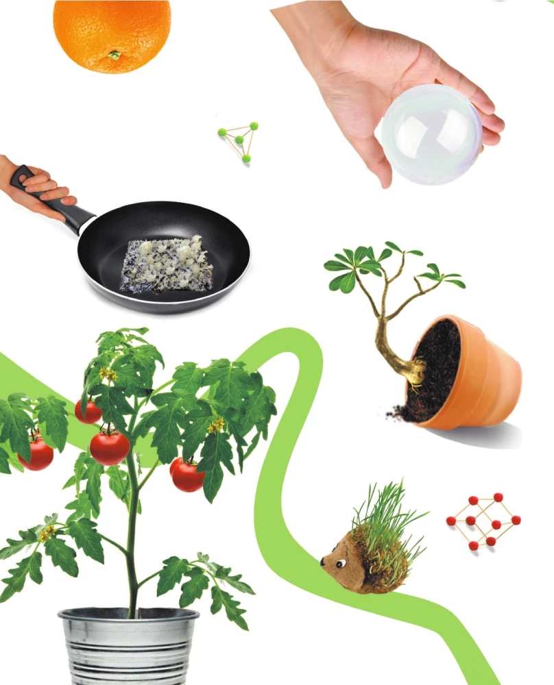 Learning through experiments: wonders with your own hands!