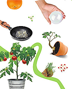 Learning through experiments: wonders with your own hands!