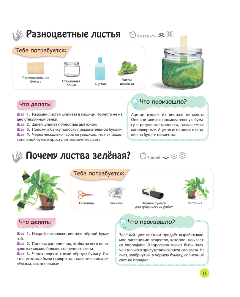 Learning through experiments: wonders with your own hands!