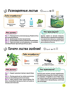 Learning through experiments: wonders with your own hands!