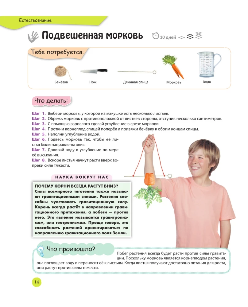 Learning through experiments: wonders with your own hands!