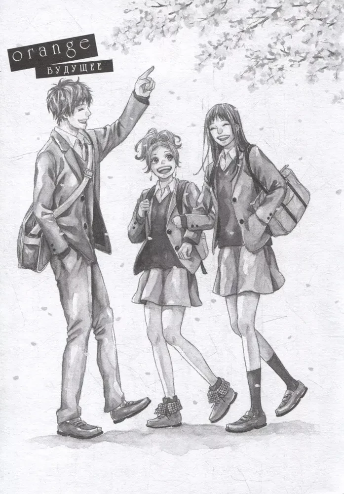 Orange. Volume 6