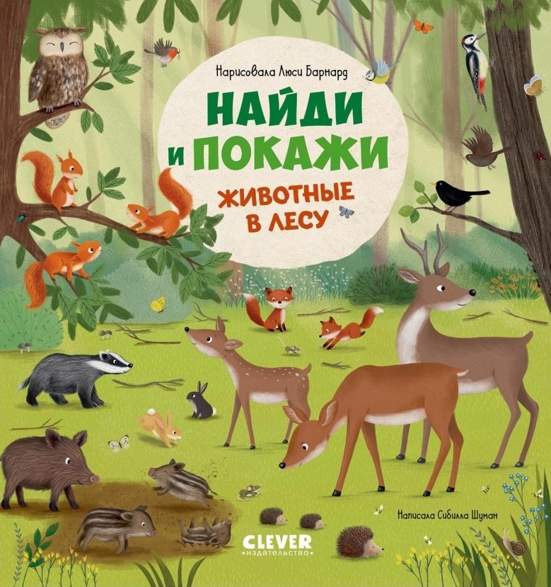 Animals in the Forest