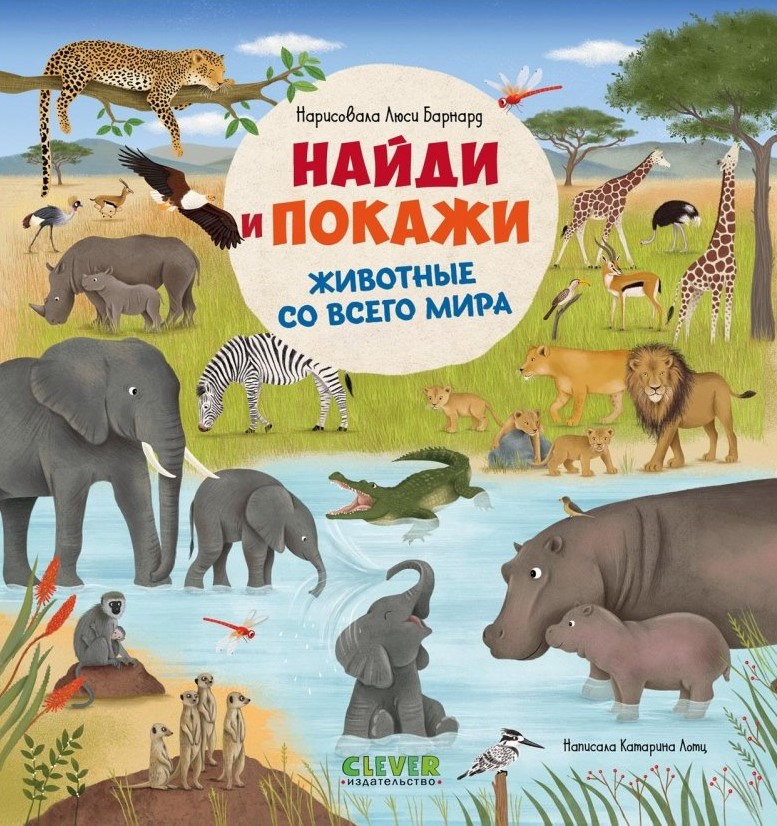 Animals from Around the World