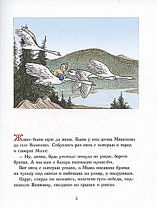 Gänse-Schwan