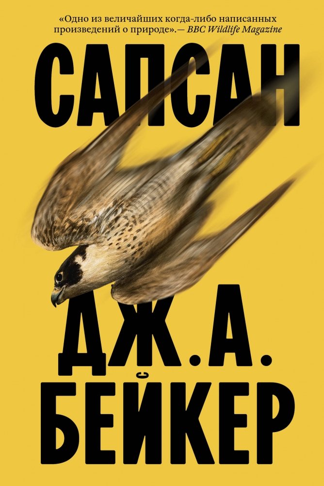 Säulenfalke