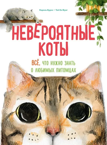 Incredible Cats. Everything You Need to Know About Your Favorite Pets